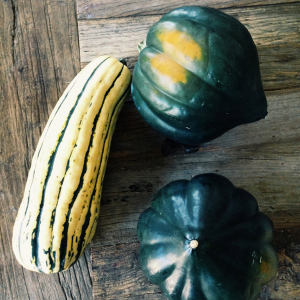 Roasted Delicata Squash