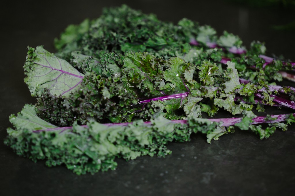 Kale & Crispy Quinoa with Creamy Lime Dressing-6